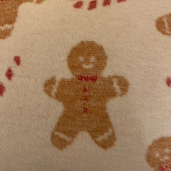 Gingerbread Pillow Set - Picture 2 of 5